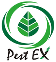 Pest Ex Maldives – An ISO Certified Leader in Pest Management, Hygiene & Environmental Solutions
