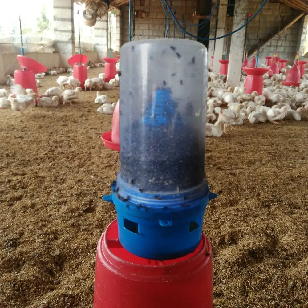 Barrix catch domo trap 1.webp