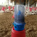 Barrix catch domo trap 1.webp