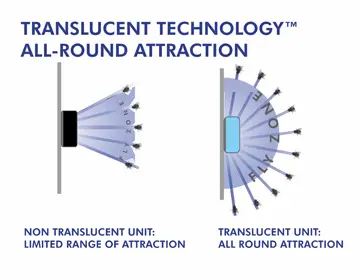 Spider insect control 1.webp