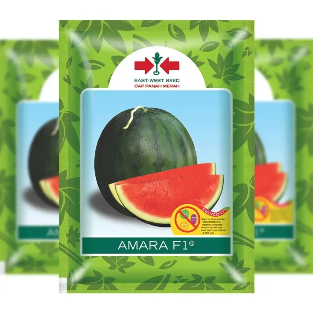 East West Amaran (Green) 3500 Seeds