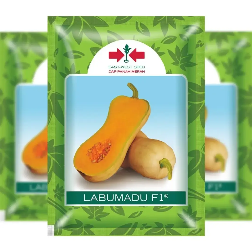 East West Labumadu 50 Seeds (Butternut)