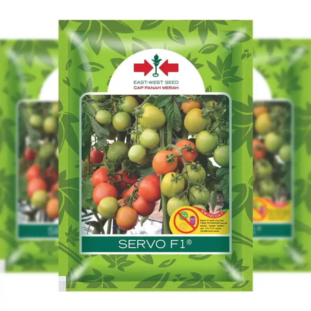 East West Servo 150 Seeds (Tomato)