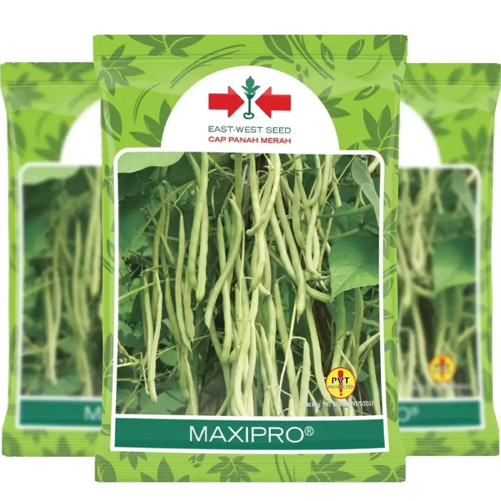 East West Beans Maxipro 225 Seeds