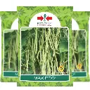 East West Beans Maxipro 225 Seeds
