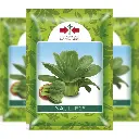 East West Chinese Cabbage Nauli (10 Grm)