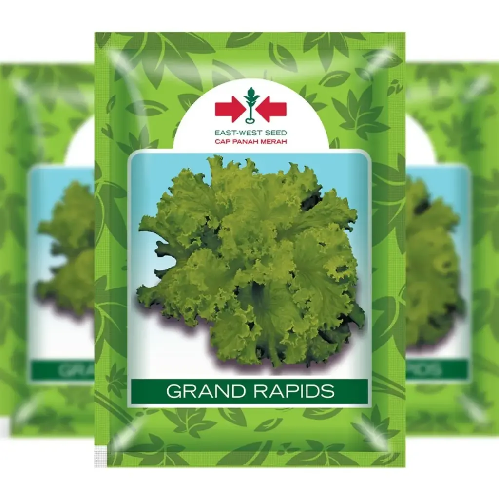 East West Lettuce Grand Rapids (15 Grm)