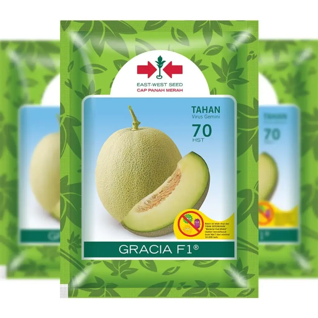 East West Melon Gracia 1000 Seeds