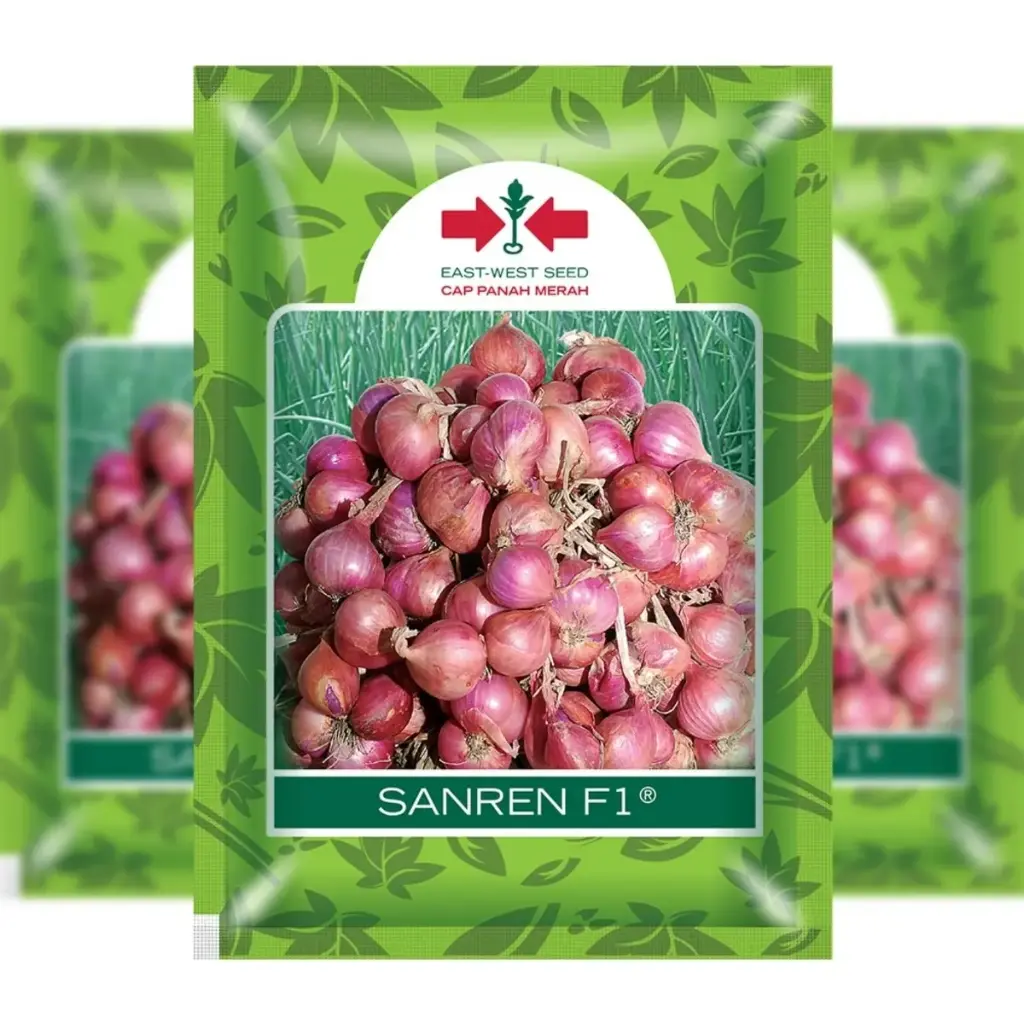 East West Red Onion Sanren (10 Grm)