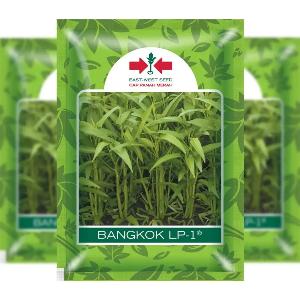East West Water Spinach Bangkok (1500 Seeds)