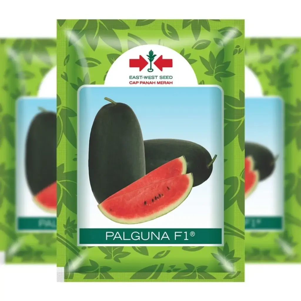 [F1319] East West Watermelon Oval Palguna F1 (100 Seeds)