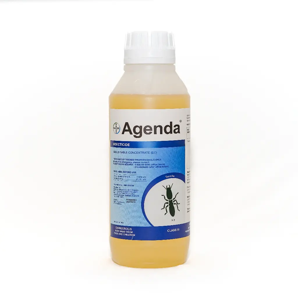 Agenda