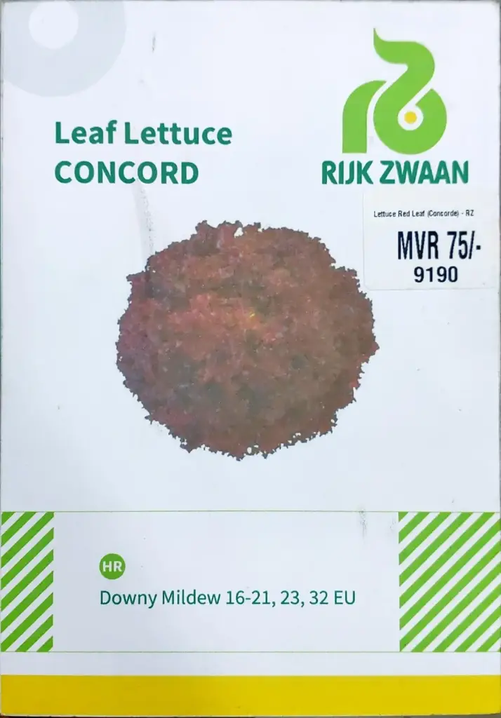 [9190] Lettuce Red Leaf (Concorde) RZ - 50 seed