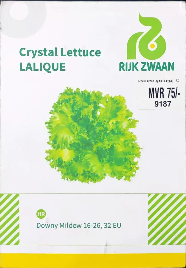 [9187] Lettuce Green Crystal (Lalique) RZ - 50 Seed