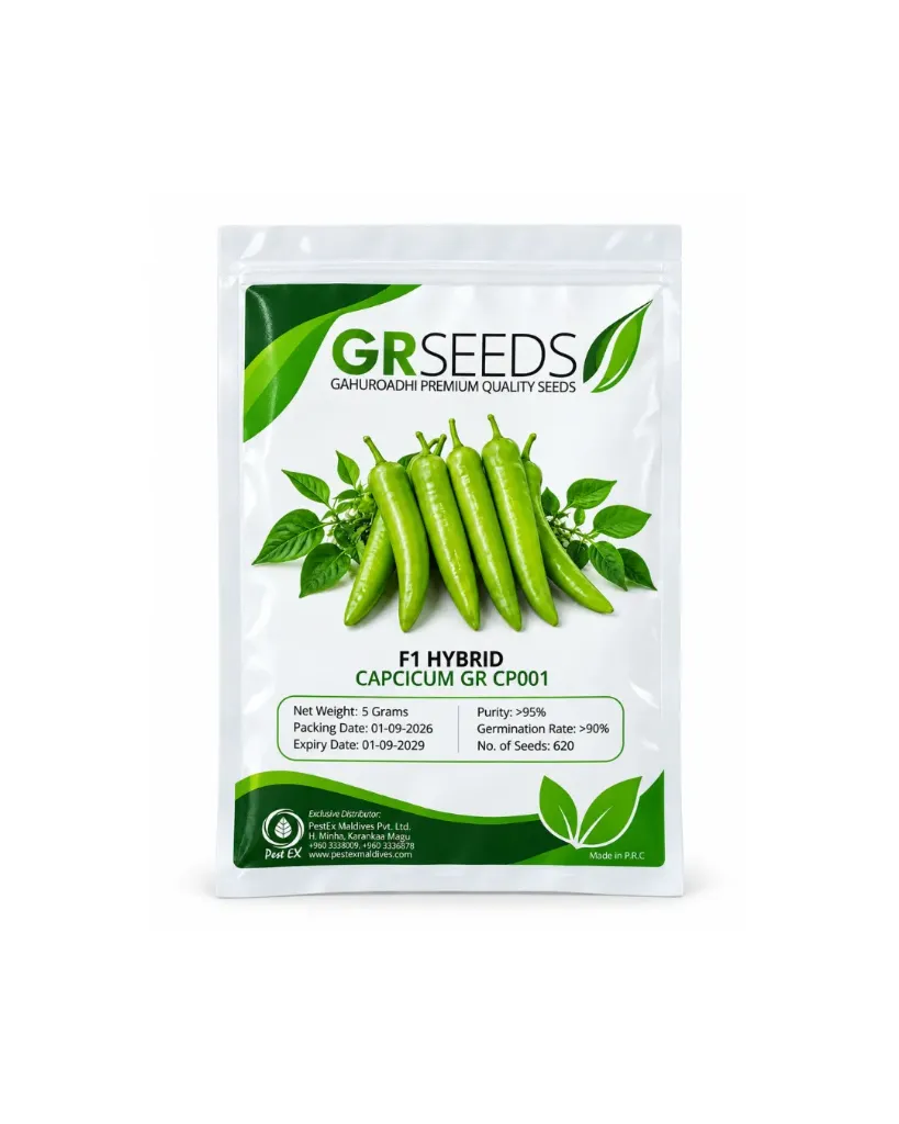 F1 Hybrid Capcicum Seeds GR CP001 - 5g