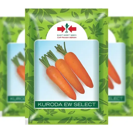 [F1300] East West Kuroda Ew Select 25Gr (Carrot)