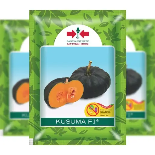 [F1305] East West Pumpkin Kusuma 225 Seeds