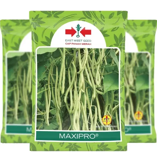 [F1310] East West Beans Maxipro 225 Seeds