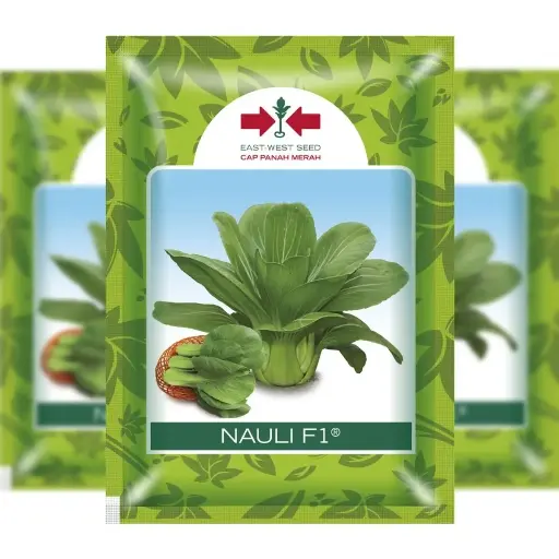 [F1311] East West Chinese Cabbage Nauli (10 Grm)