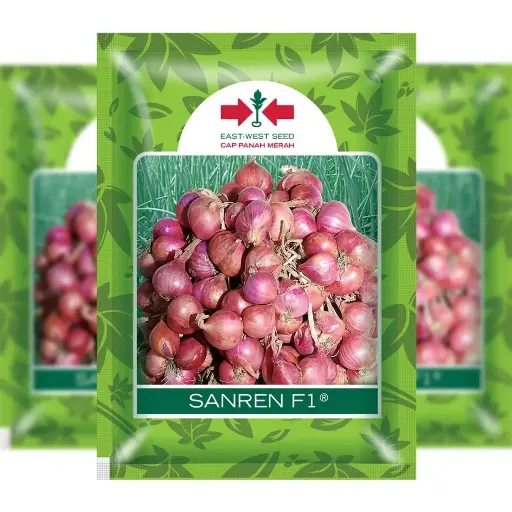 [F1317] East West Red Onion Sanren (10 Grm)