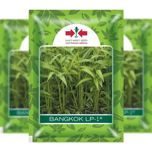 [F1318] East West Water Spinach Bangkok (1500 Seeds)