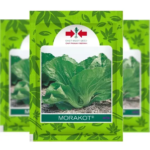 [F1589] East West Moracot 20 Grm